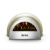 Delivita Olive Green pizza oven