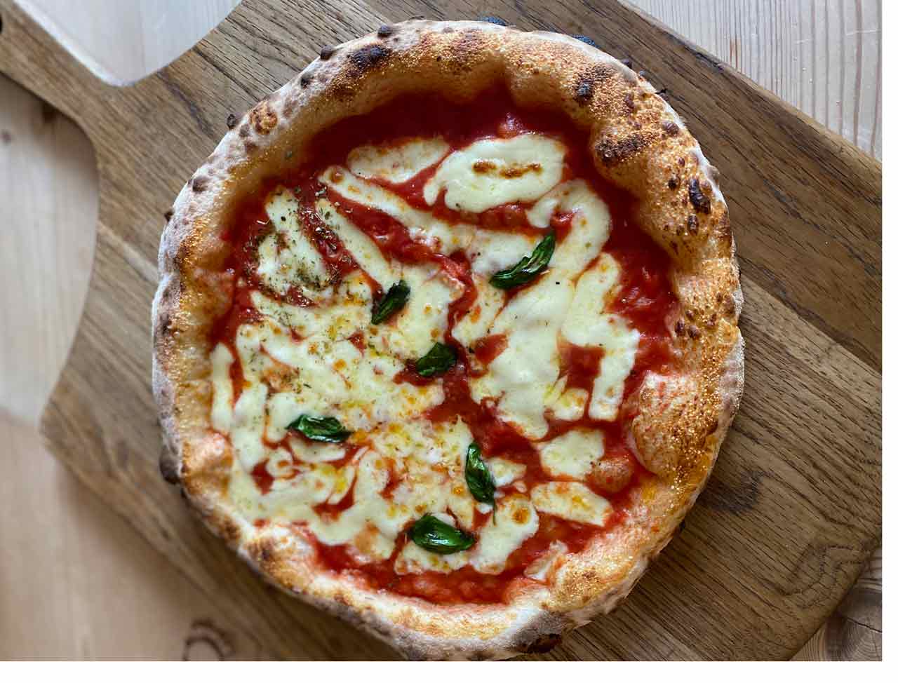 Margherita pizza